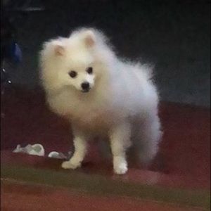 Meet your Posher, Yi